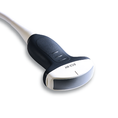 Convex Probe 1