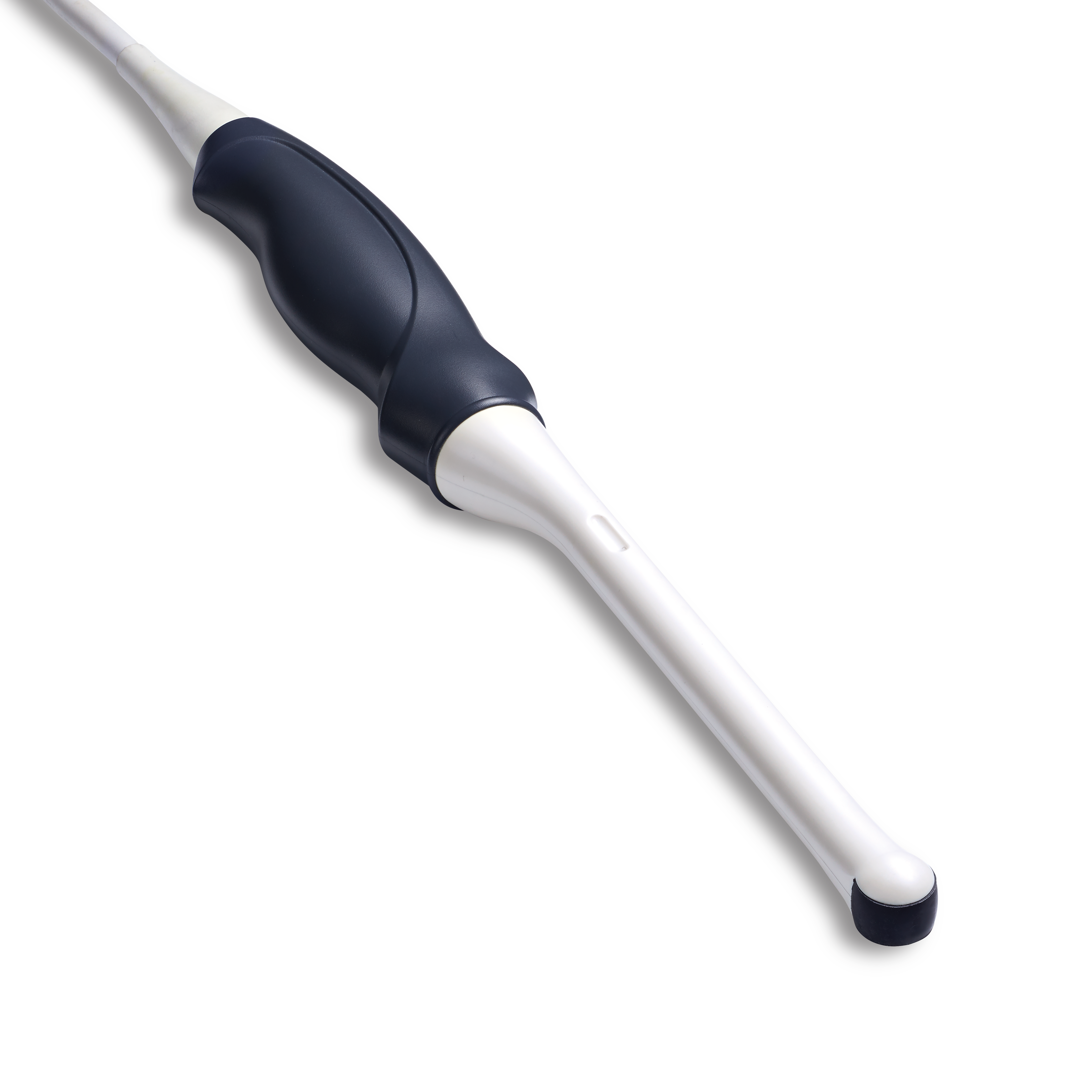 Endocavity Probe